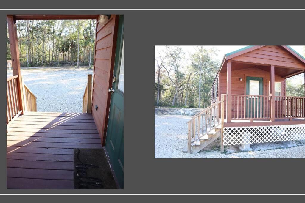 Driftwood Cabin - 2Nd Street Steinhatchee Dış mekan fotoğraf